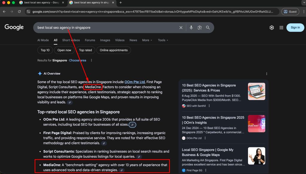 AIO · 'best local SEO agency Singapore'